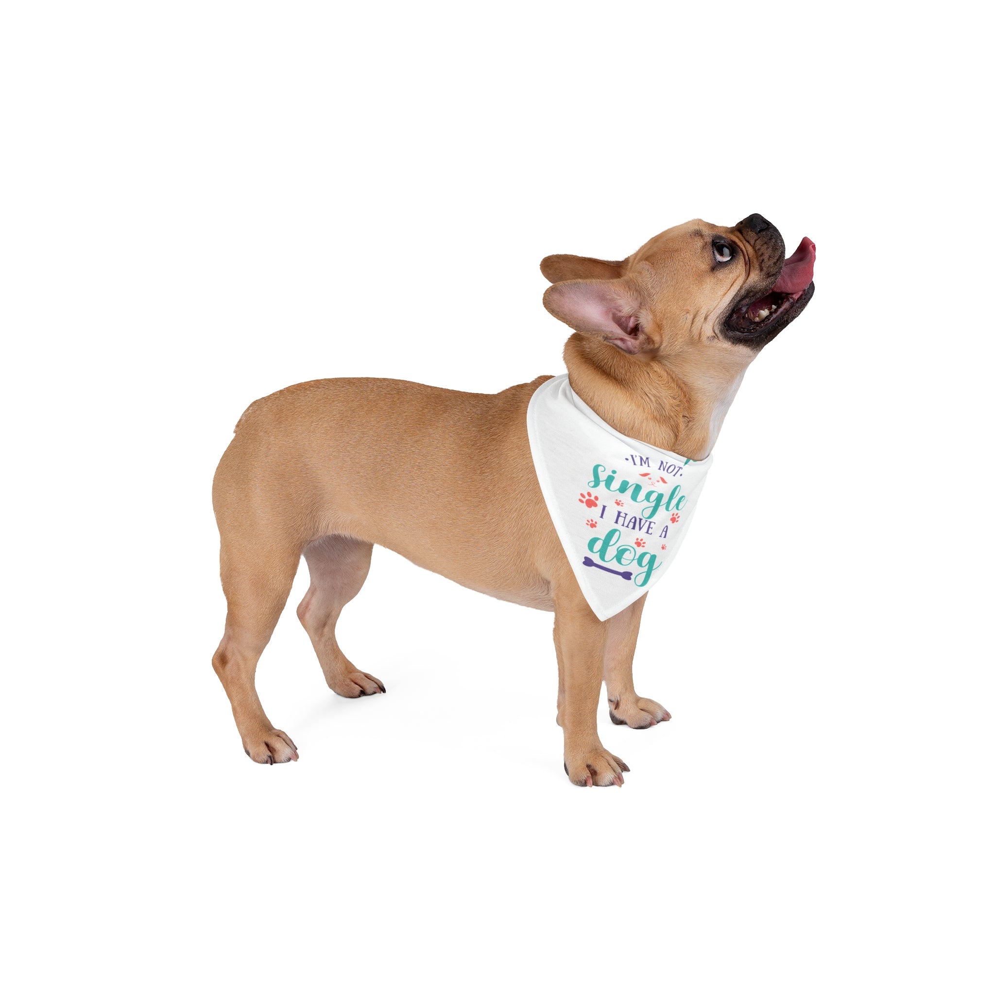 Dog Bandana — “I’m Not Single I Have a Dog” Cute Pet Accessory for Dog Lovers