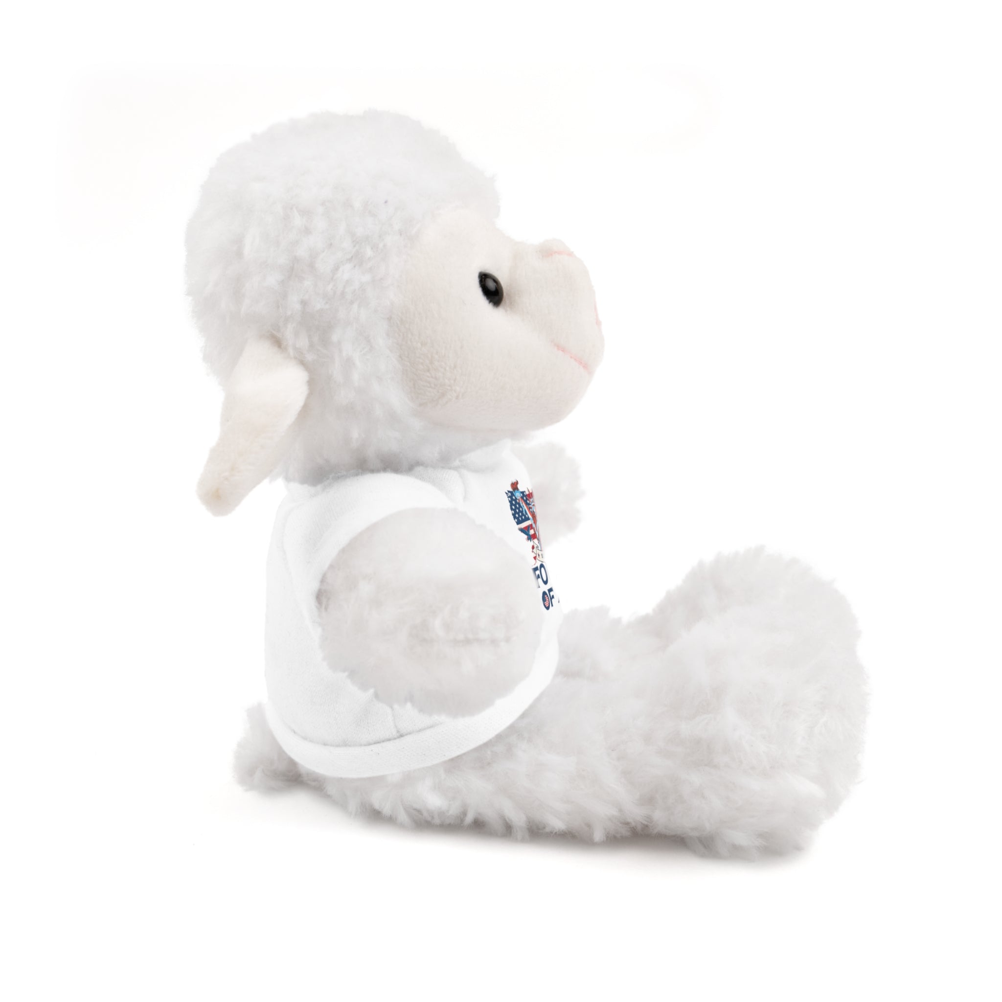 Fourth of July Teddy Bear — Plush Bear with 'Fourth of July' Tee