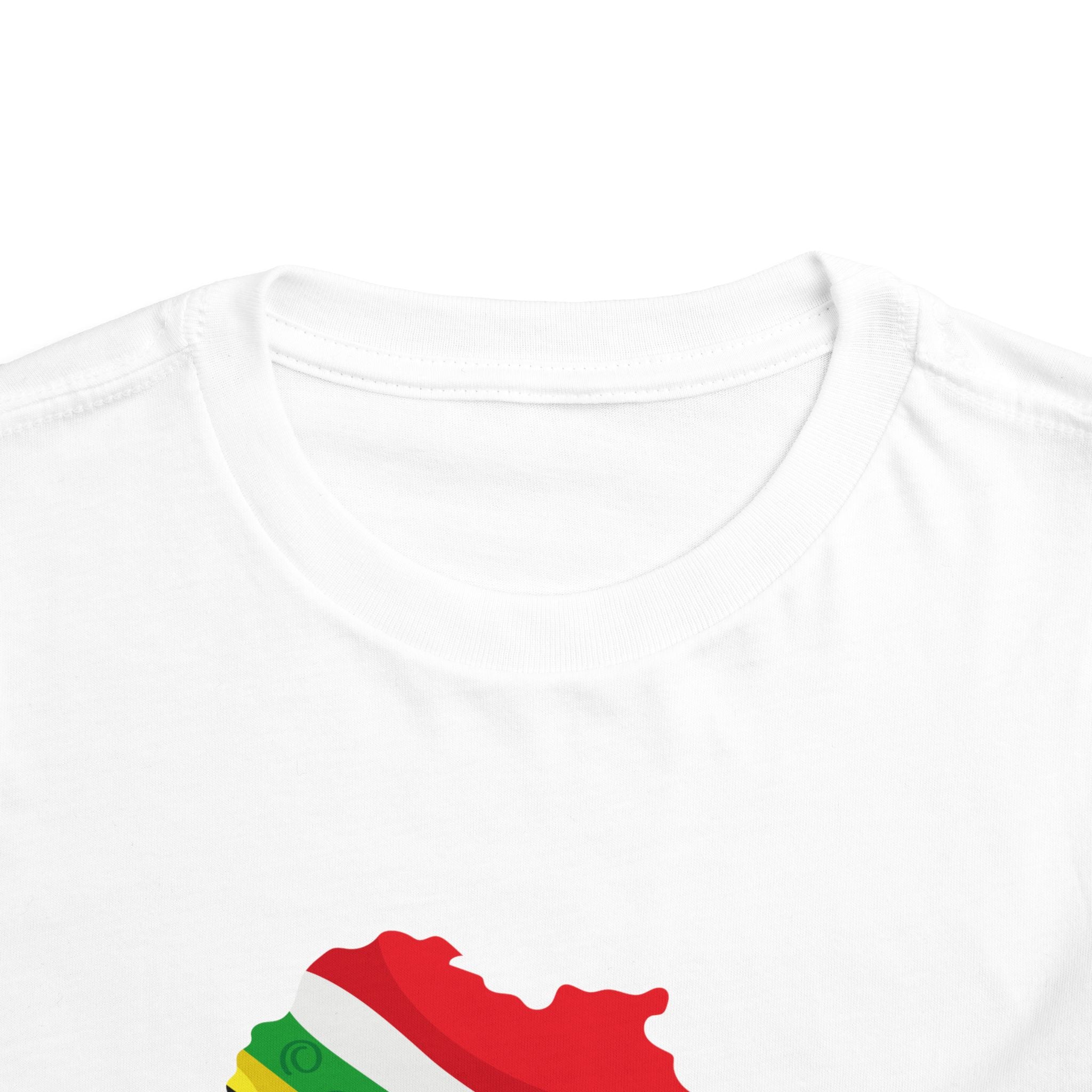 South Africa Toddler Tee — South Africa Flag Africa Map with 2026 Trophy Soccer Cup Design