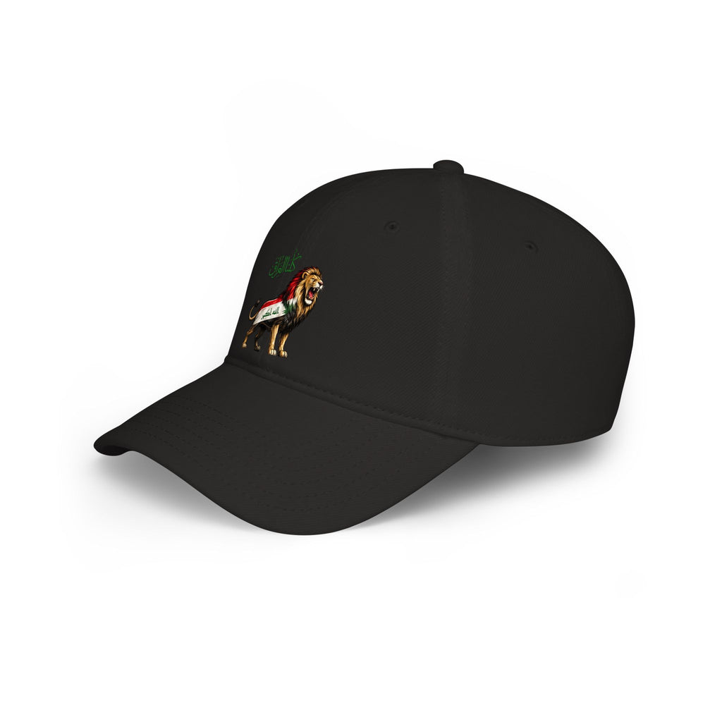 Iraq Low Profile Baseball Cap